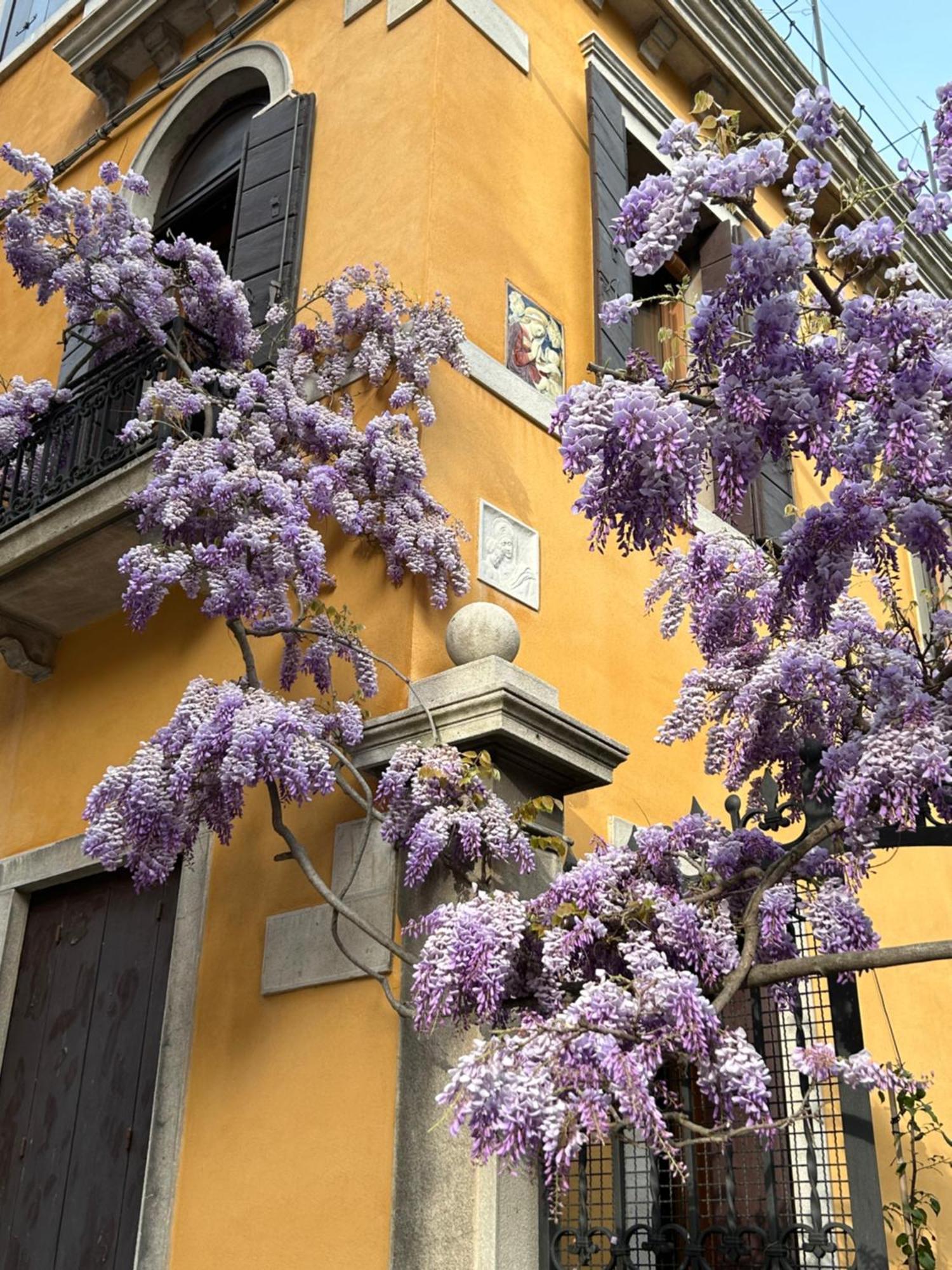 Hotel Carbonaia Venezia Exterior foto